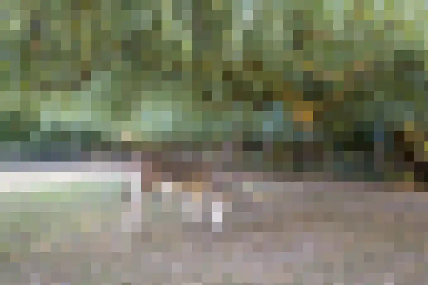 Hoge Maasdijk 3 Hedikhuizen thumbnail 78