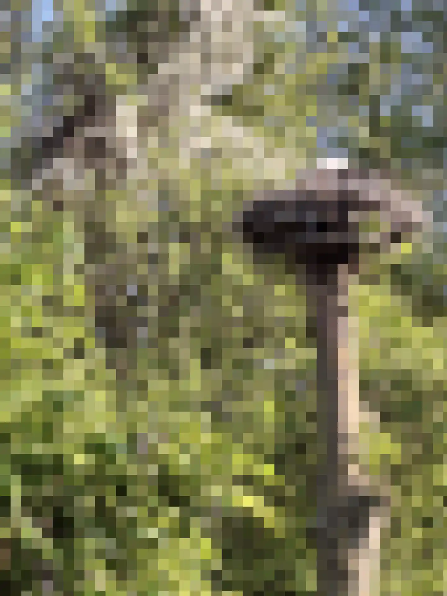 Hoge Maasdijk 3 Hedikhuizen thumbnail 79