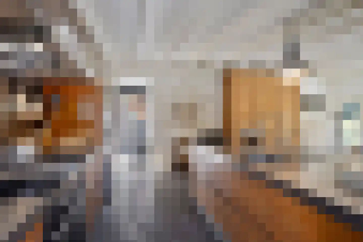 Hoge Maasdijk 3 Hedikhuizen thumbnail 8