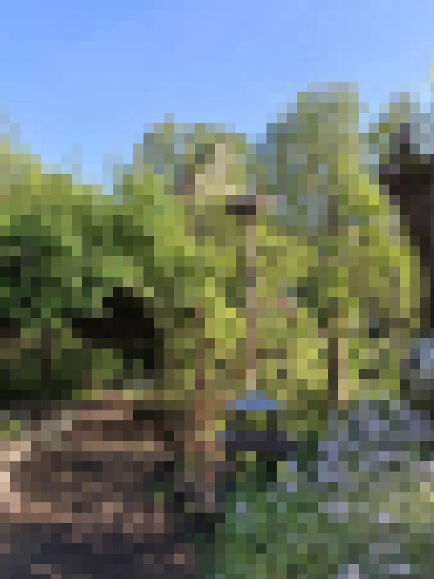 Hoge Maasdijk 3 Hedikhuizen thumbnail 80