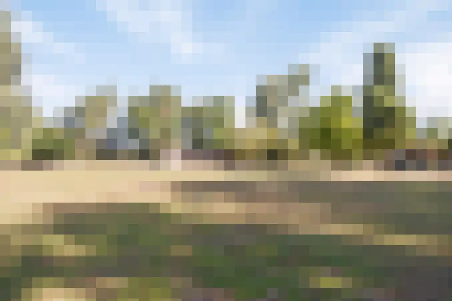Hoge Maasdijk 3 Hedikhuizen thumbnail 81