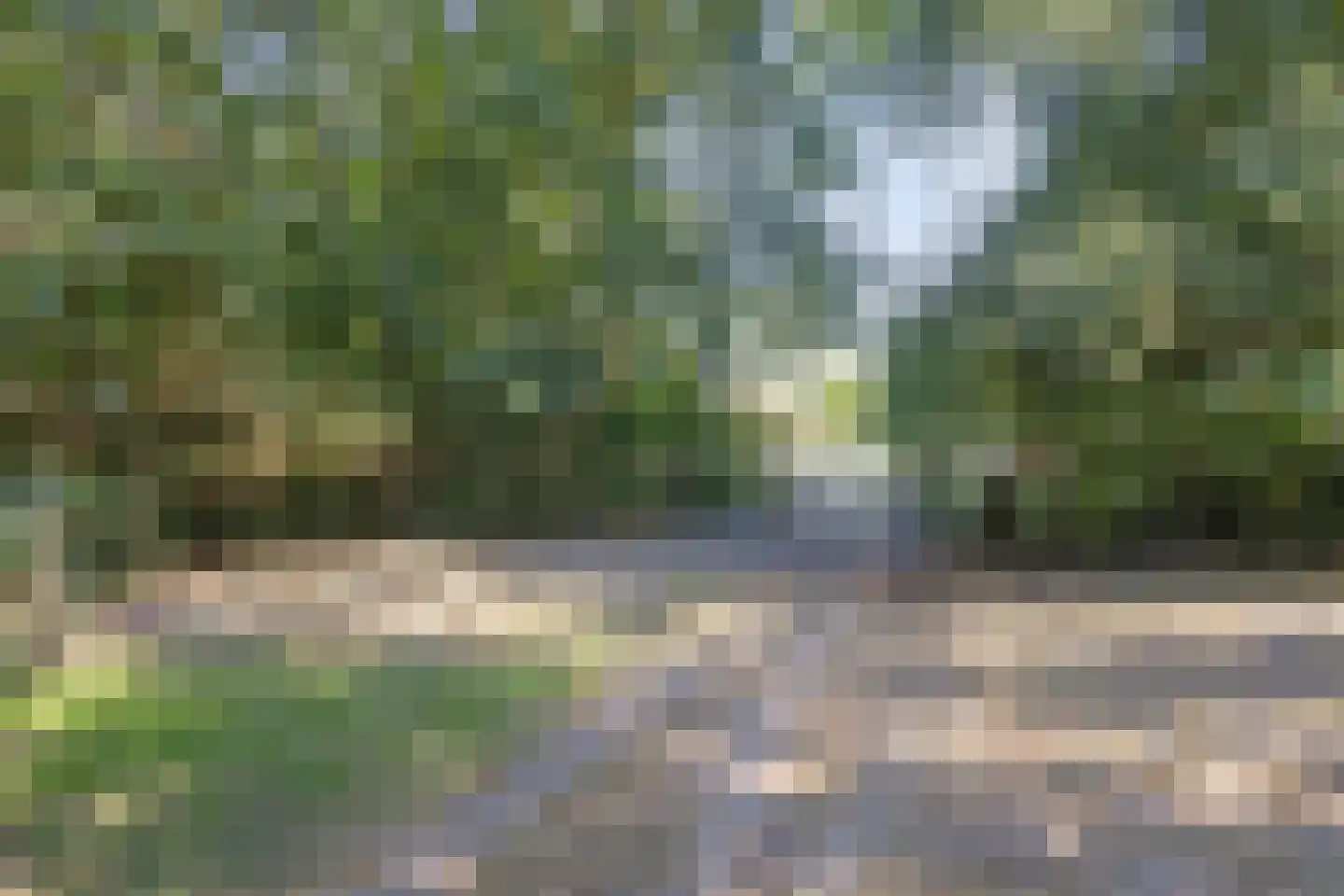 Hoge Maasdijk 3 Hedikhuizen thumbnail 82