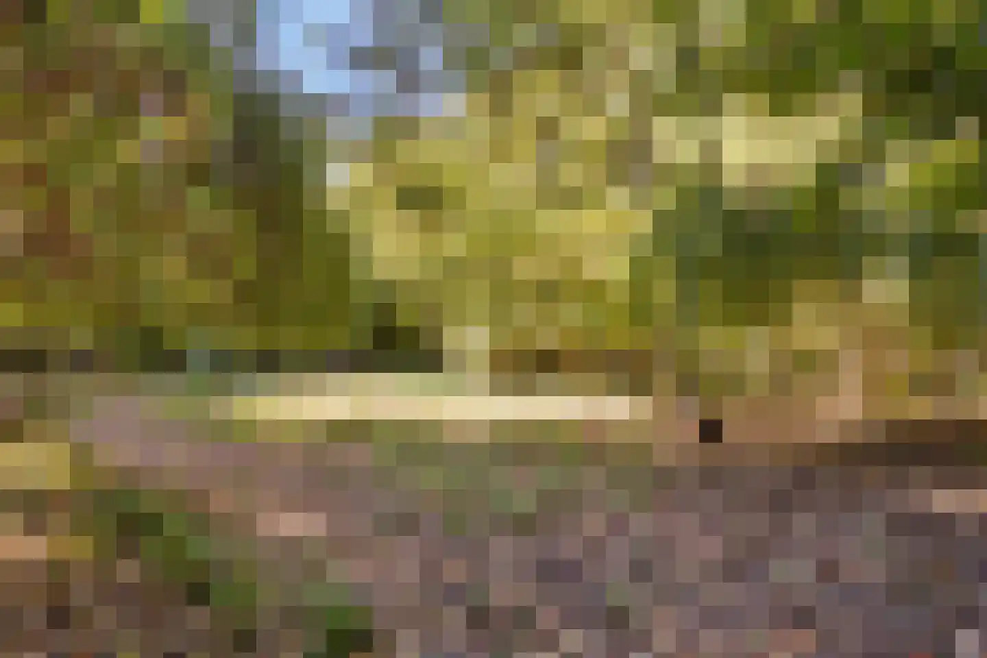 Hoge Maasdijk 3 Hedikhuizen thumbnail 83