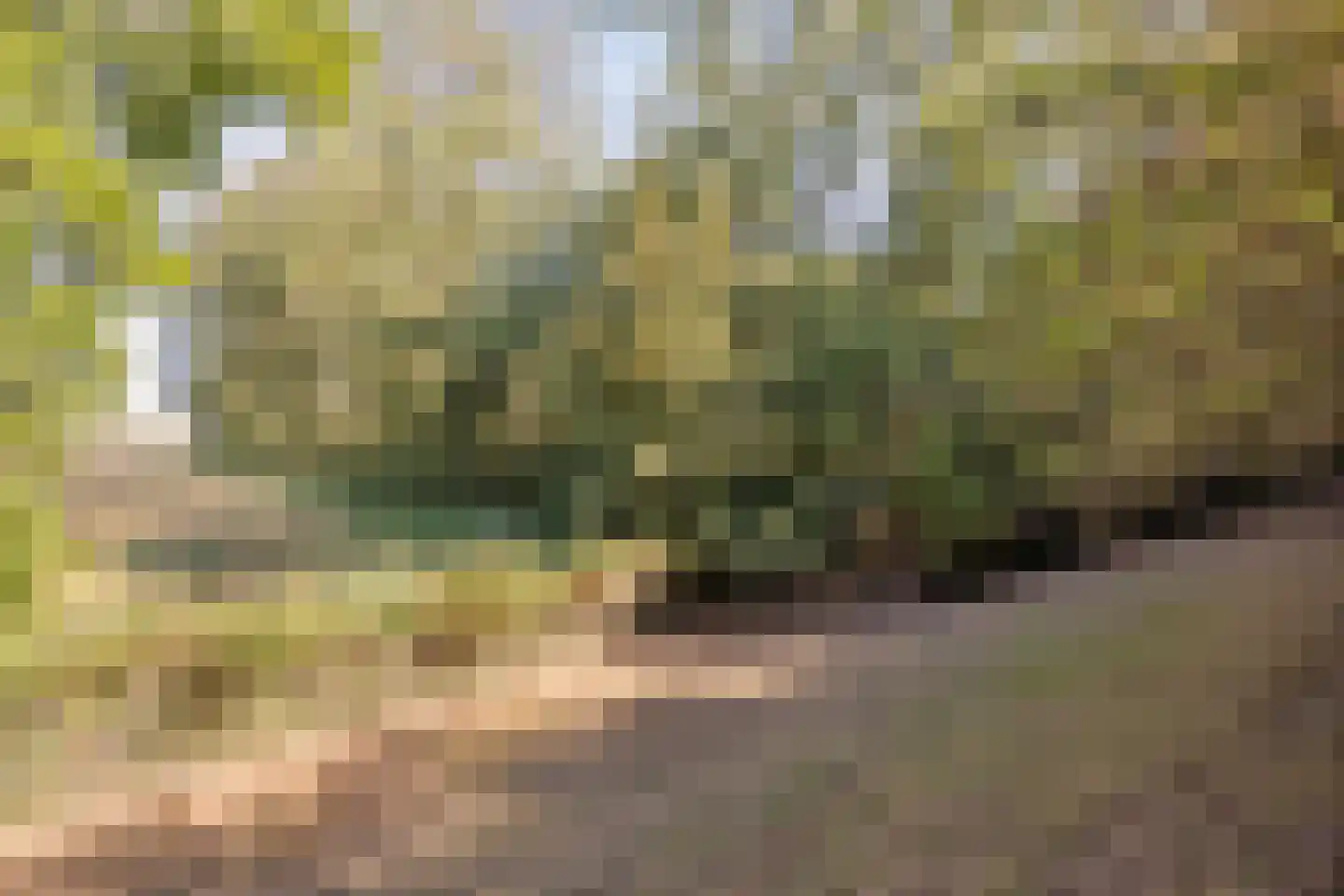 Hoge Maasdijk 3 Hedikhuizen thumbnail 84