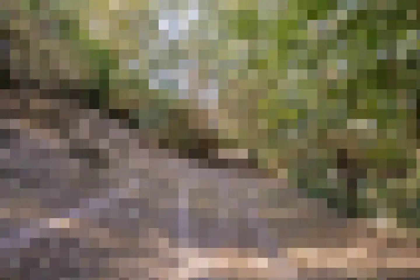 Hoge Maasdijk 3 Hedikhuizen thumbnail 85
