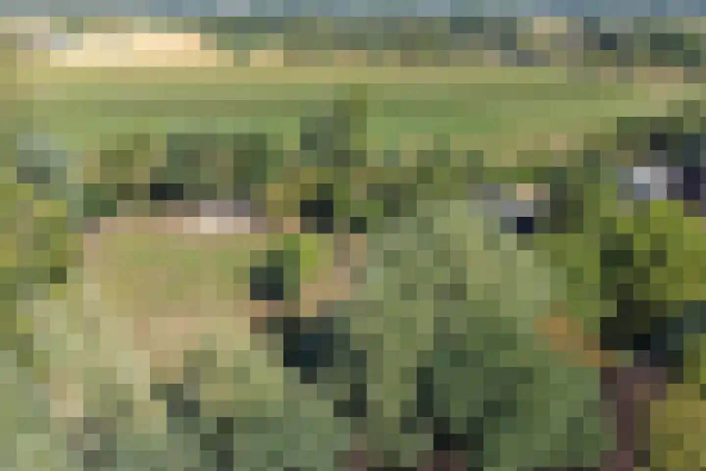 Hoge Maasdijk 3 Hedikhuizen thumbnail 87