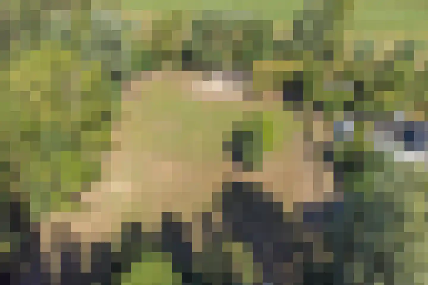 Hoge Maasdijk 3 Hedikhuizen thumbnail 88