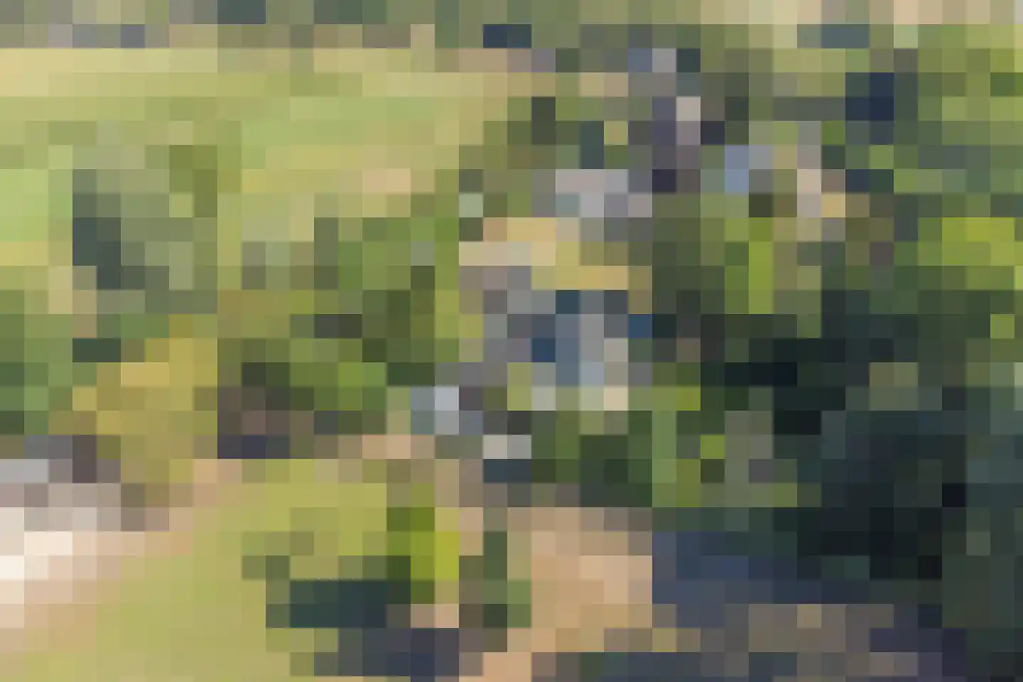 Hoge Maasdijk 3 Hedikhuizen thumbnail 89