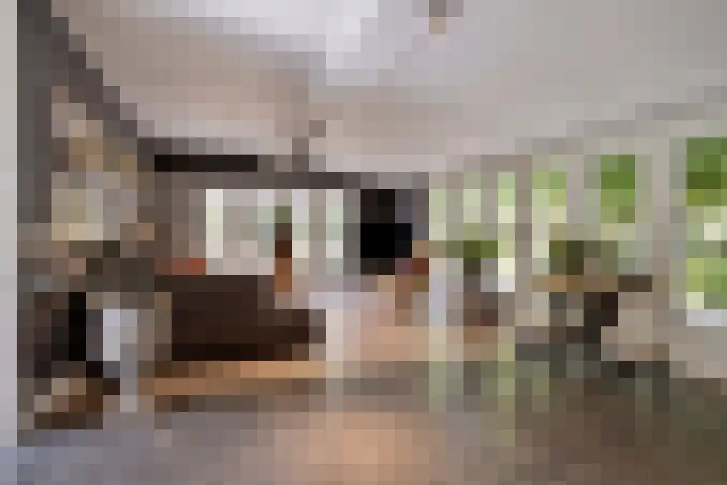 Hoge Maasdijk 3 Hedikhuizen thumbnail 9