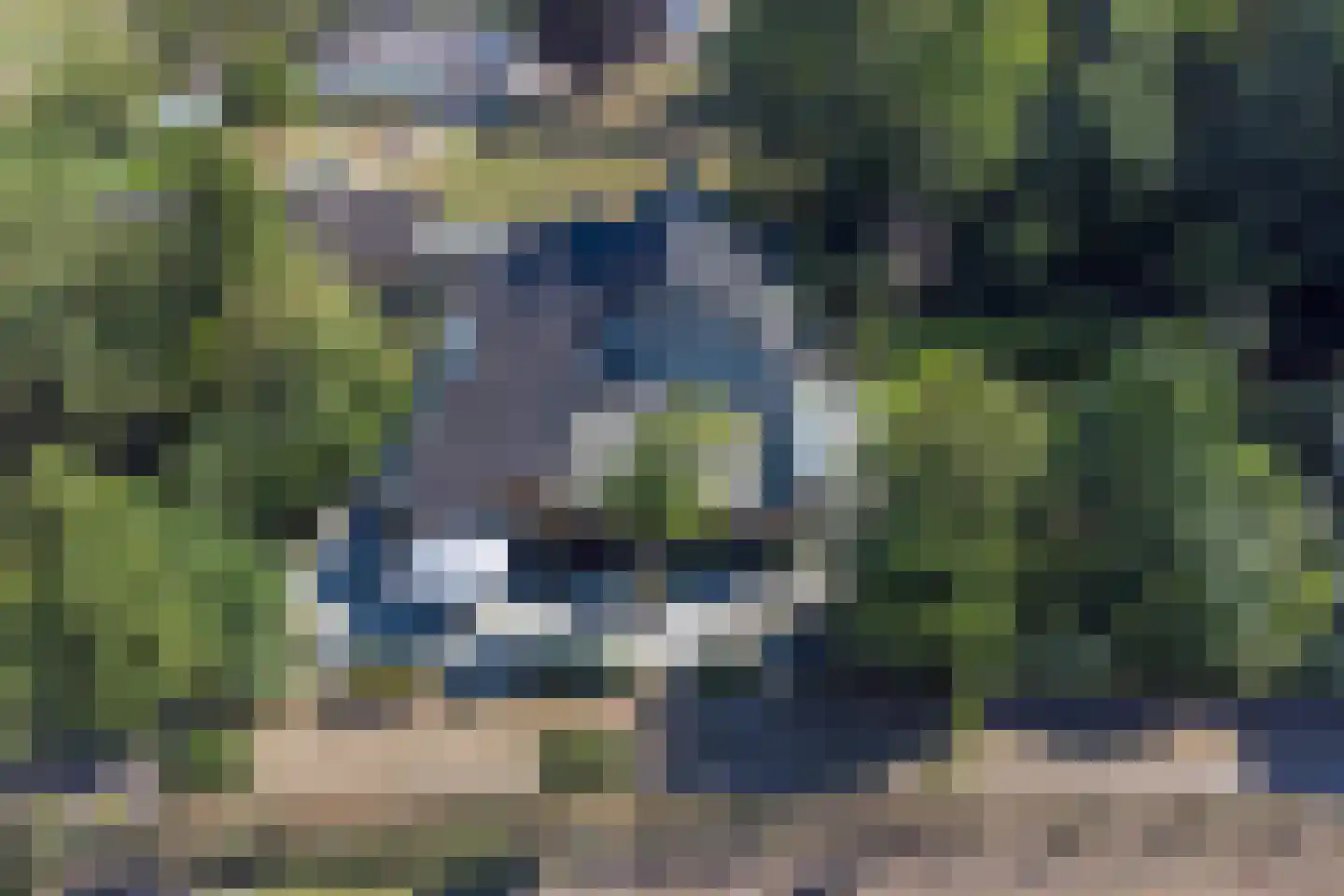 Hoge Maasdijk 3 Hedikhuizen thumbnail 90
