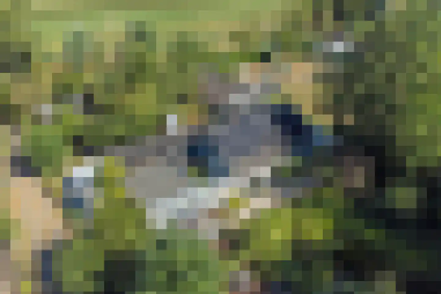 Hoge Maasdijk 3 Hedikhuizen thumbnail 91
