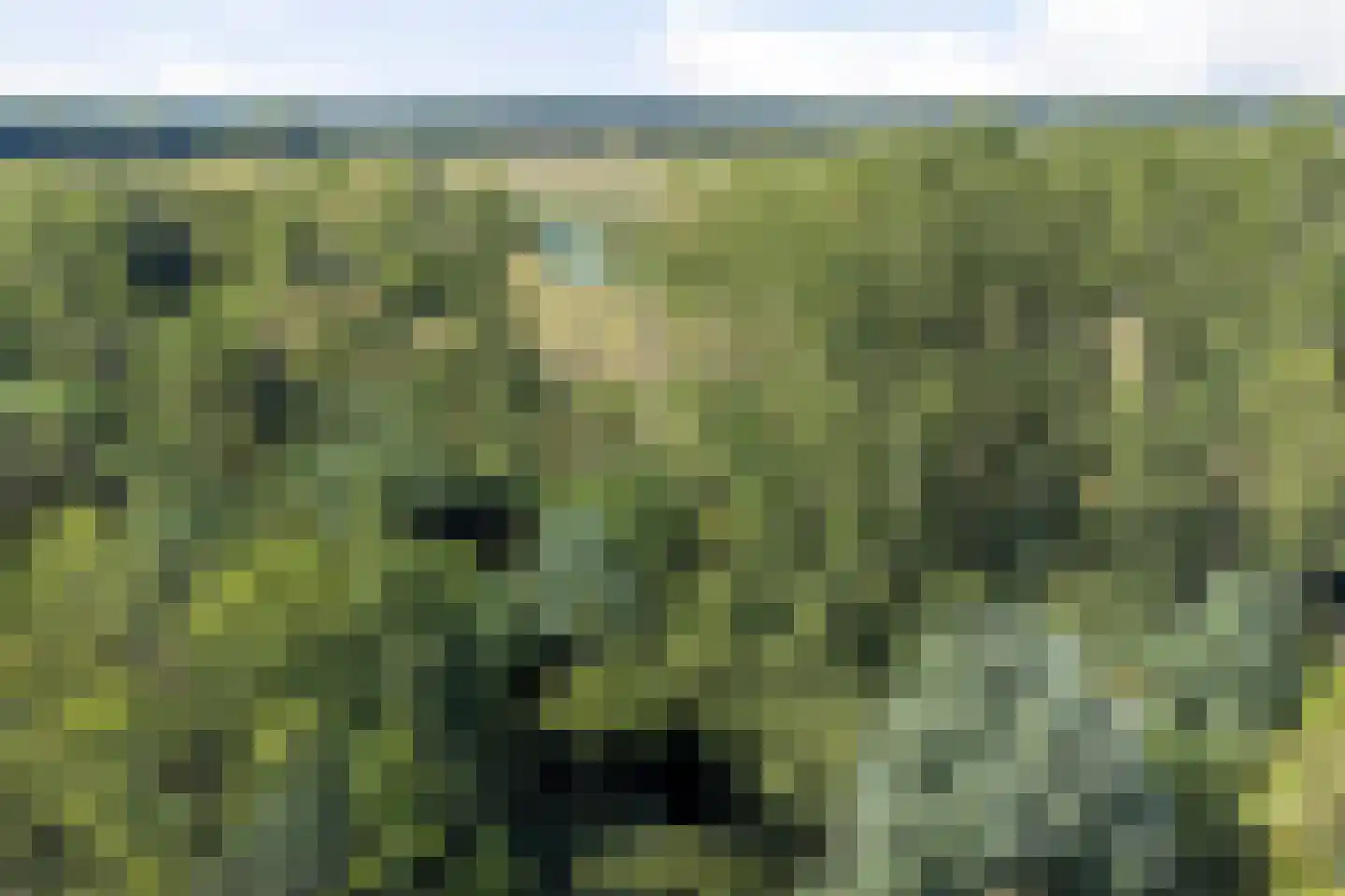 Hoge Maasdijk 3 Hedikhuizen thumbnail 92