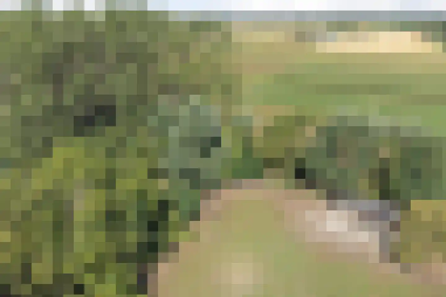 Hoge Maasdijk 3 Hedikhuizen thumbnail 93
