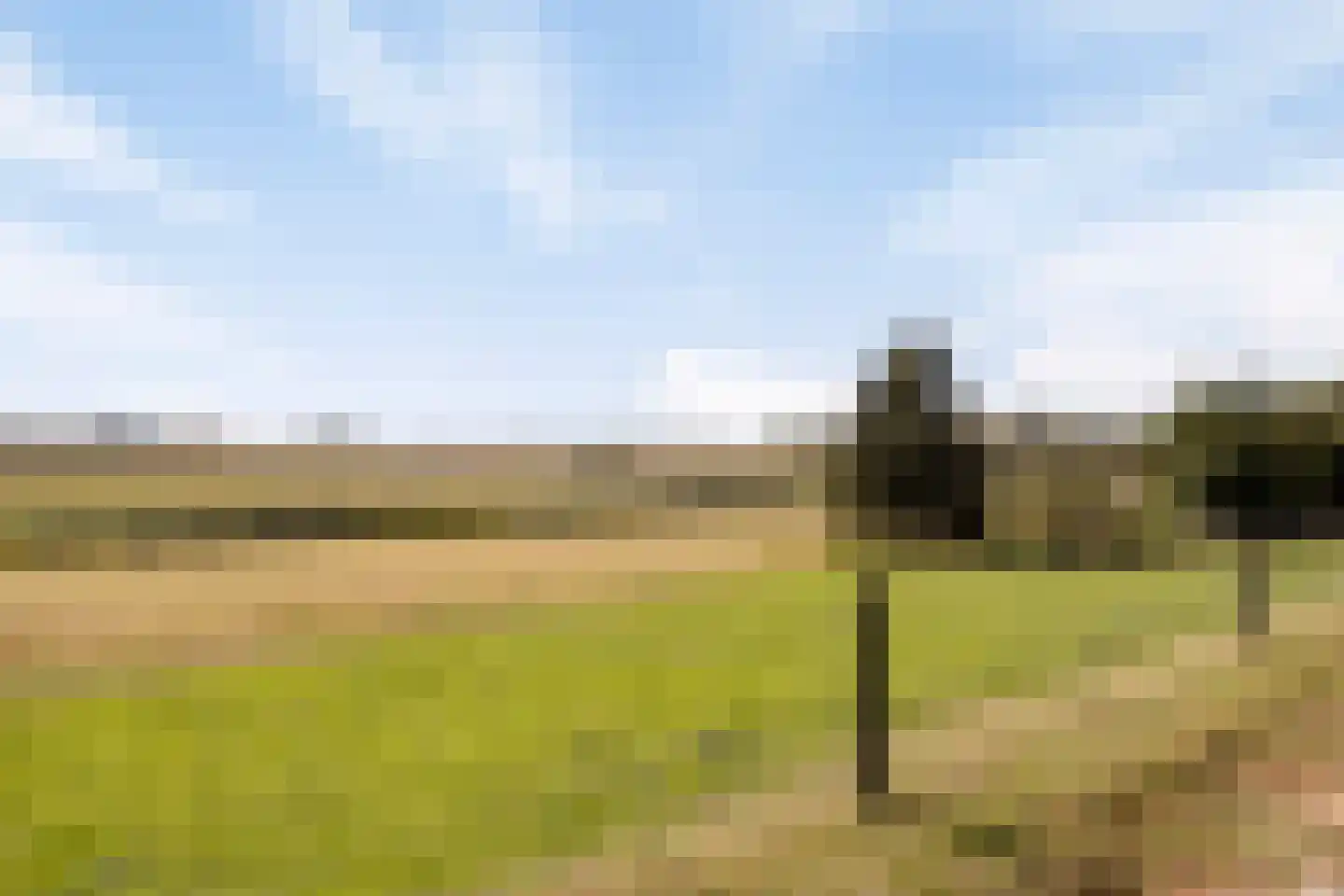 Hoge Maasdijk 3 Hedikhuizen thumbnail 95