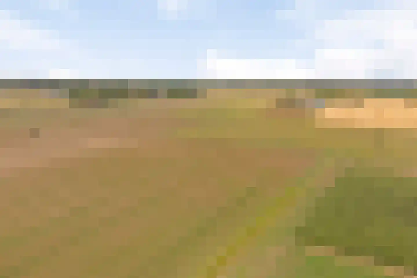 Hoge Maasdijk 3 Hedikhuizen thumbnail 96