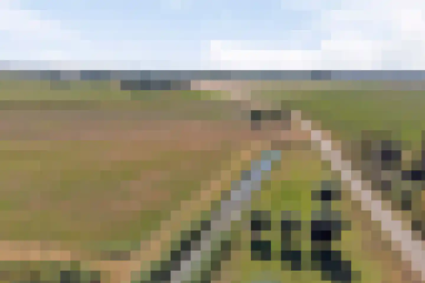Hoge Maasdijk 3 Hedikhuizen thumbnail 97