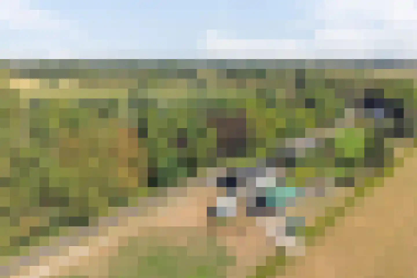 Hoge Maasdijk 3 Hedikhuizen thumbnail 99