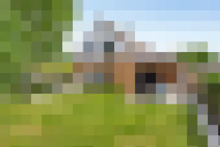 Hoge Maasdijk 38 Andel