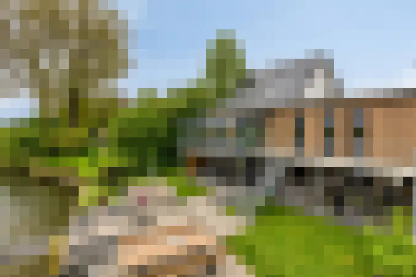 Hoge Maasdijk 45 en Andel