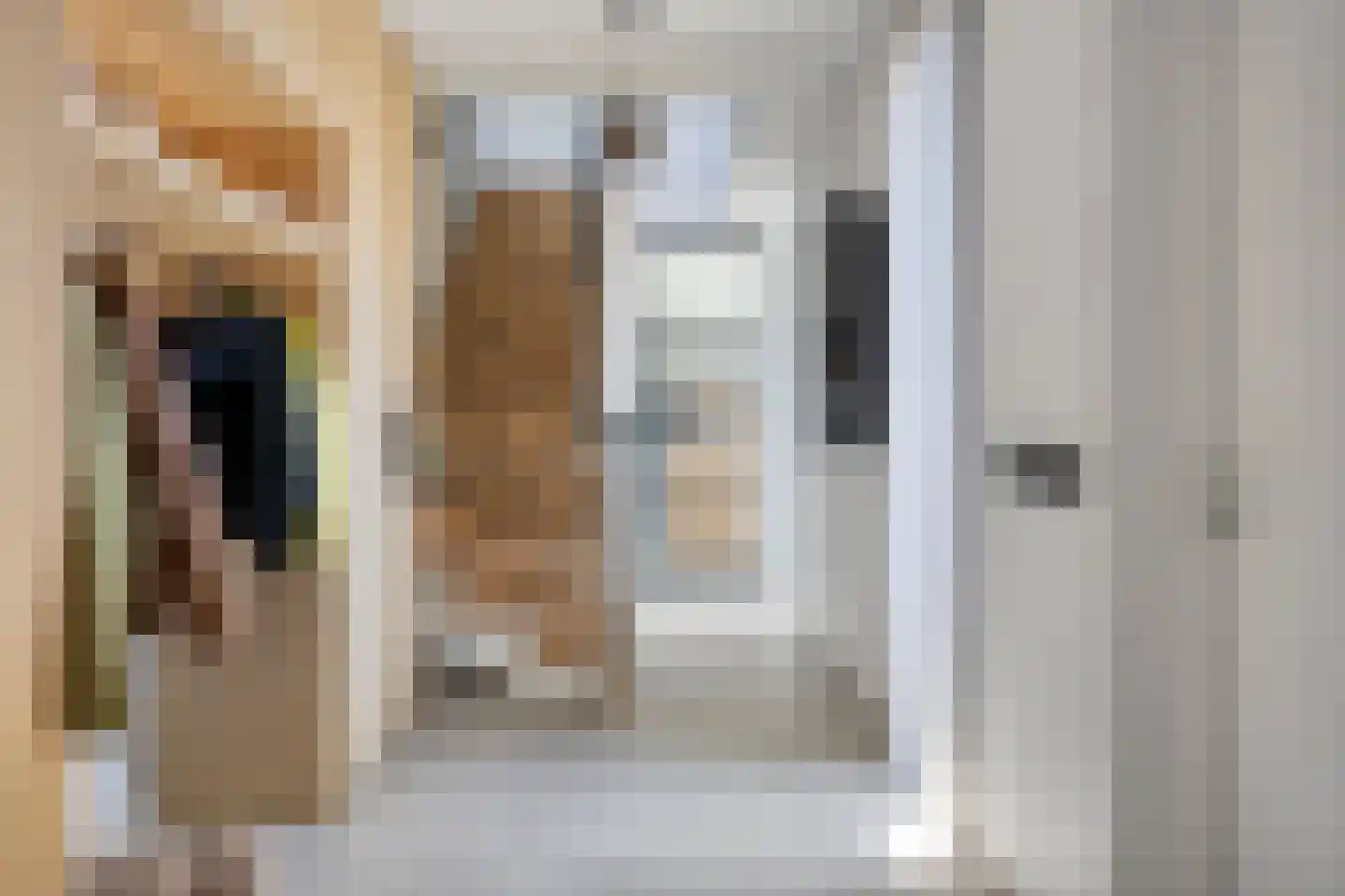 Hoge Maasdijk 45 Andel thumbnail 12