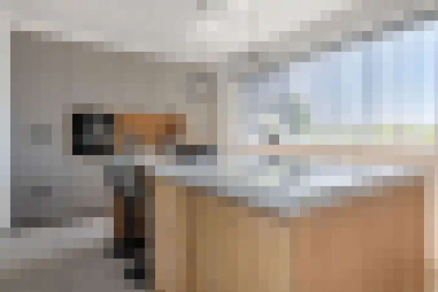 Hoge Maasdijk 45 Andel thumbnail 13