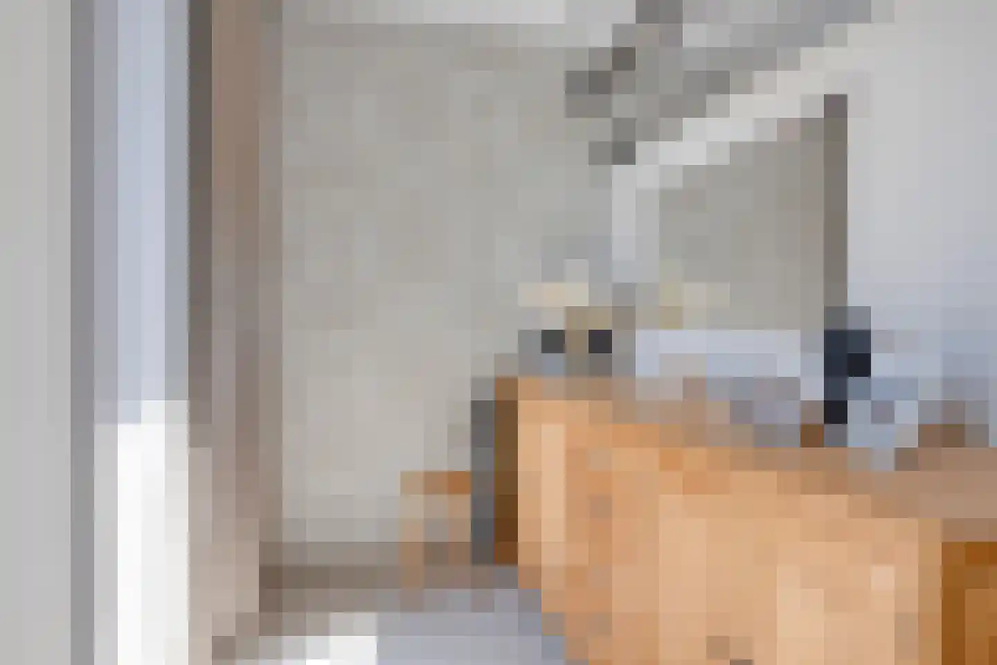 Hoge Maasdijk 45 Andel thumbnail 24