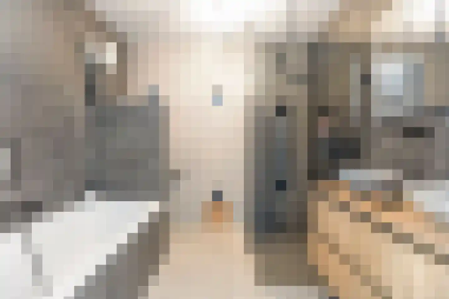 Hoge Maasdijk 45 Andel thumbnail 28