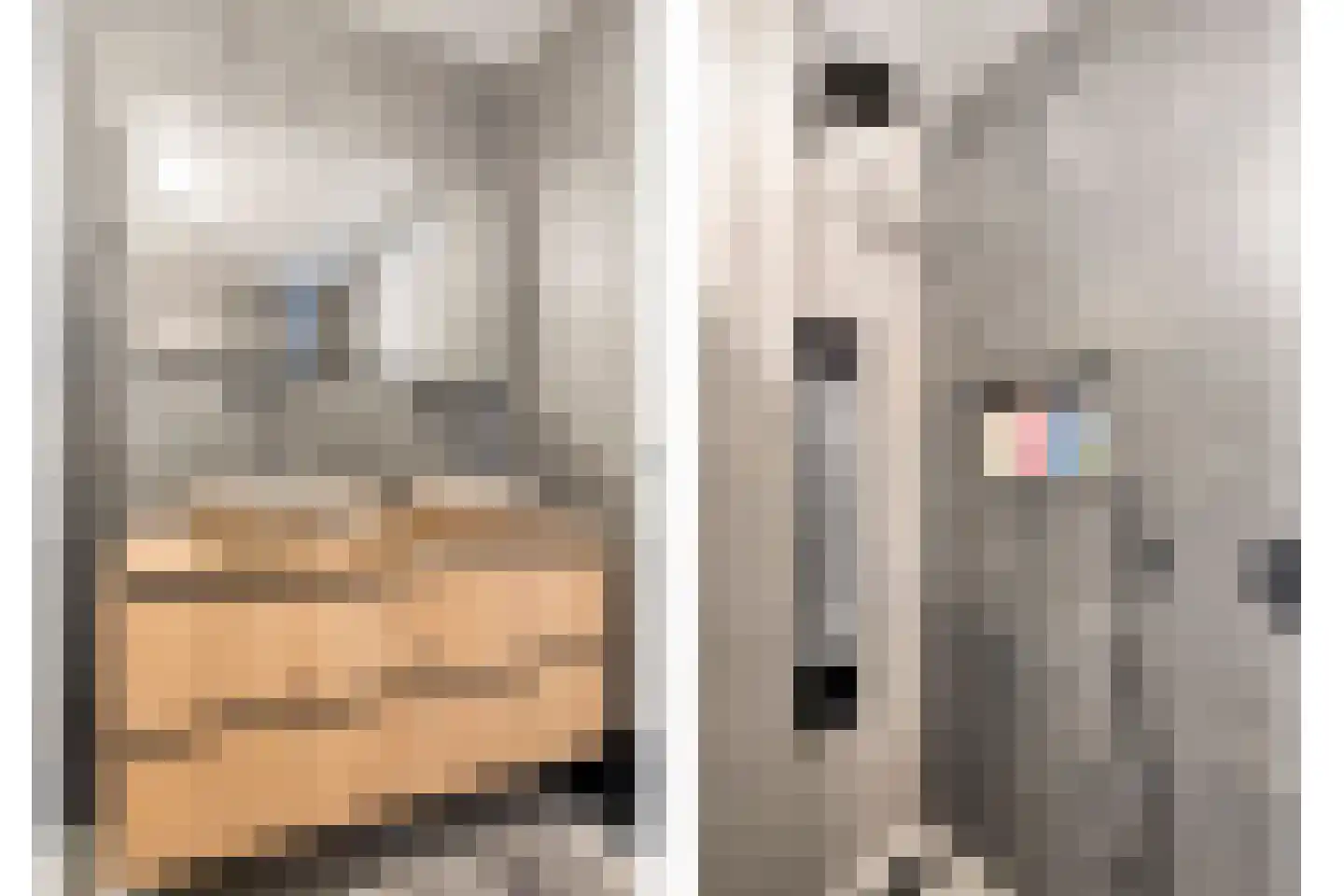 Hoge Maasdijk 45 Andel thumbnail 29