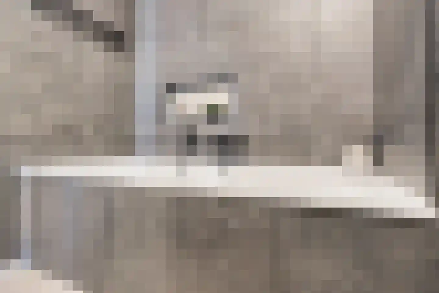 Hoge Maasdijk 45 Andel thumbnail 30