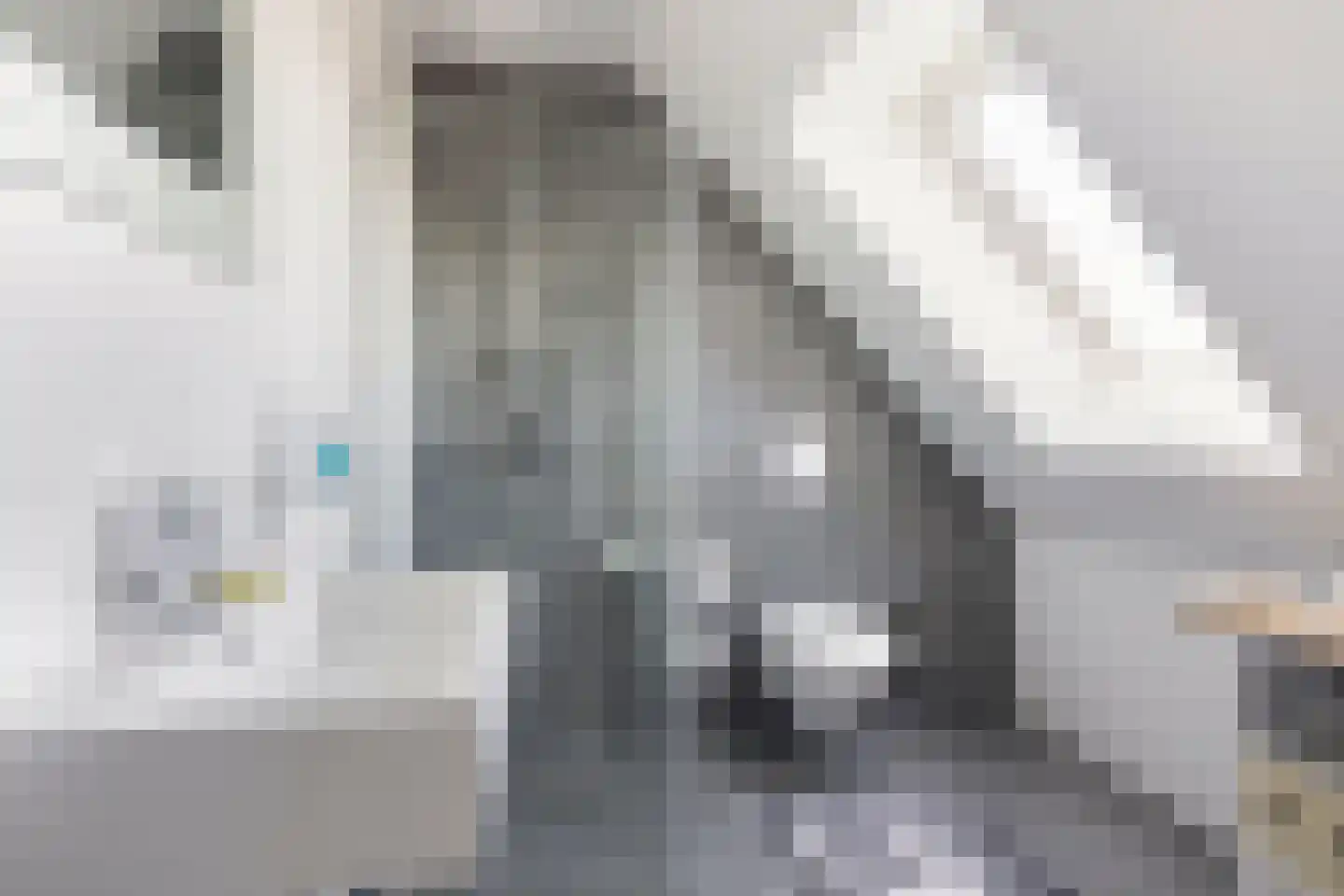 Hoge Maasdijk 45 Andel thumbnail 32