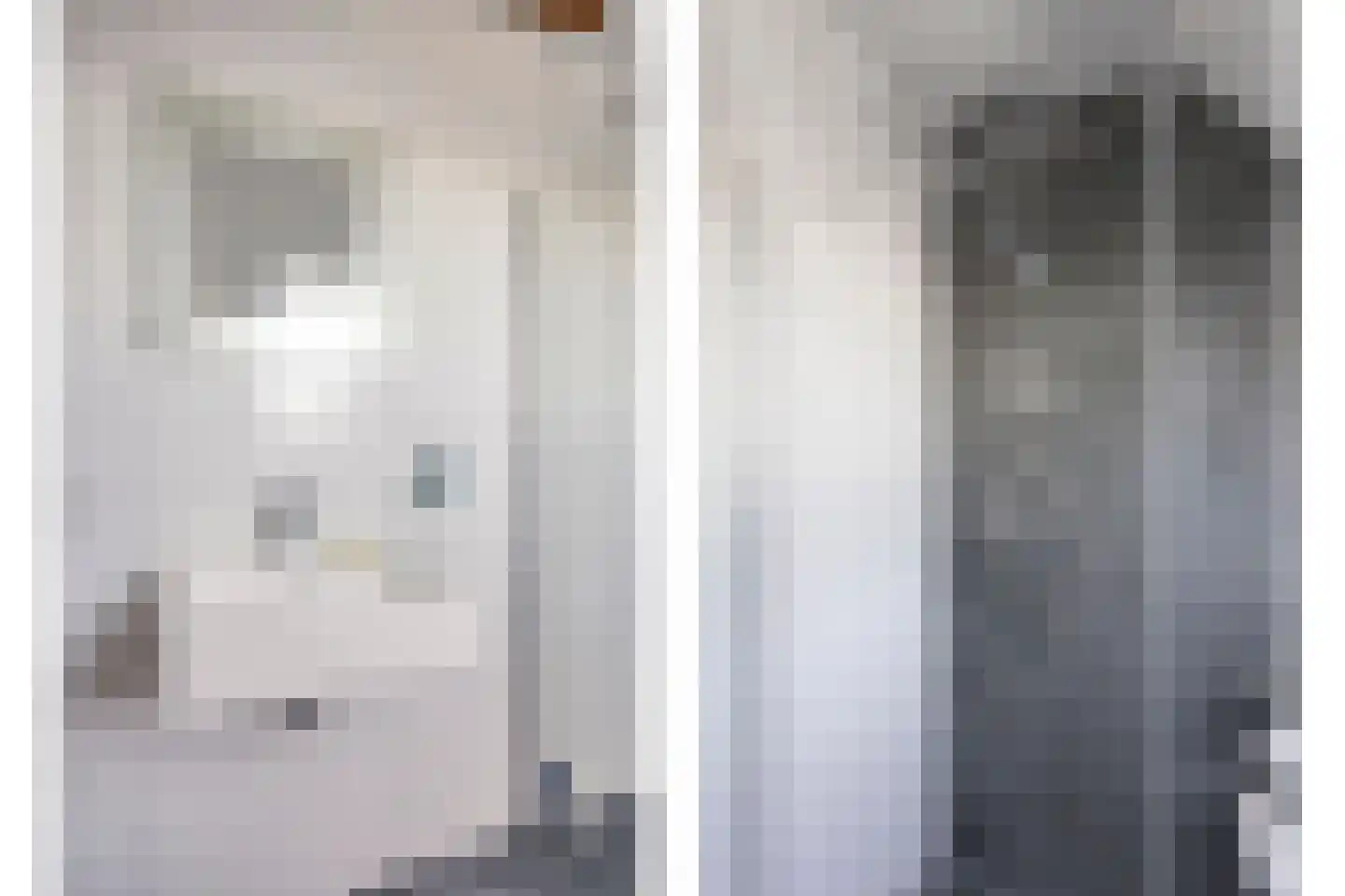 Hoge Maasdijk 45 Andel thumbnail 33