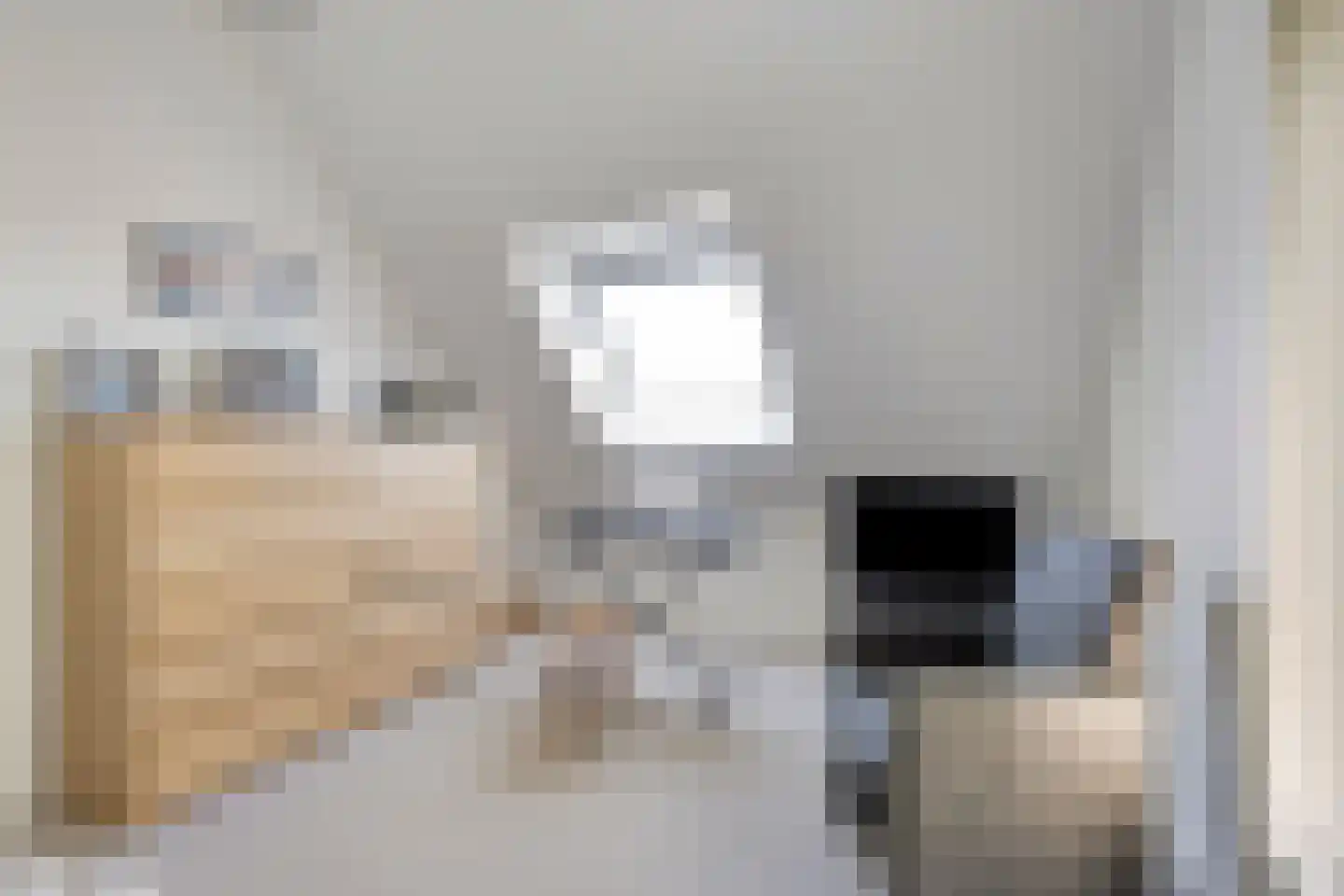Hoge Maasdijk 45 Andel thumbnail 35