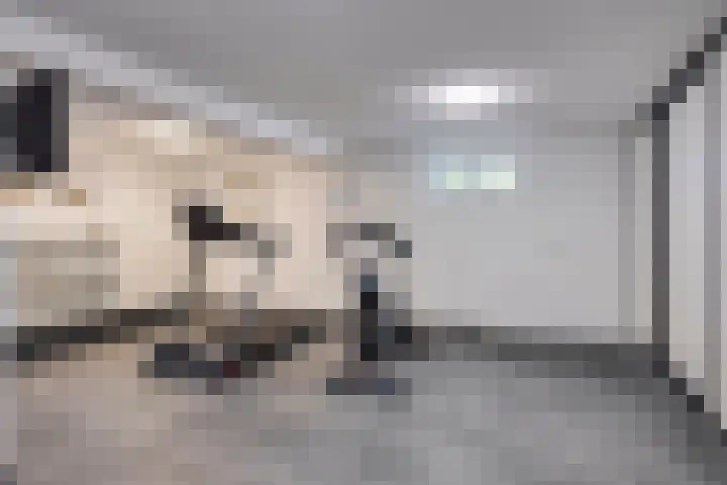 Hoge Maasdijk 45 Andel thumbnail 36