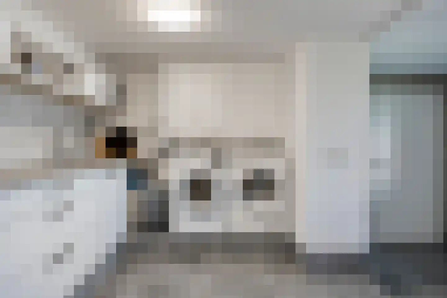 Hoge Maasdijk 45 Andel thumbnail 38