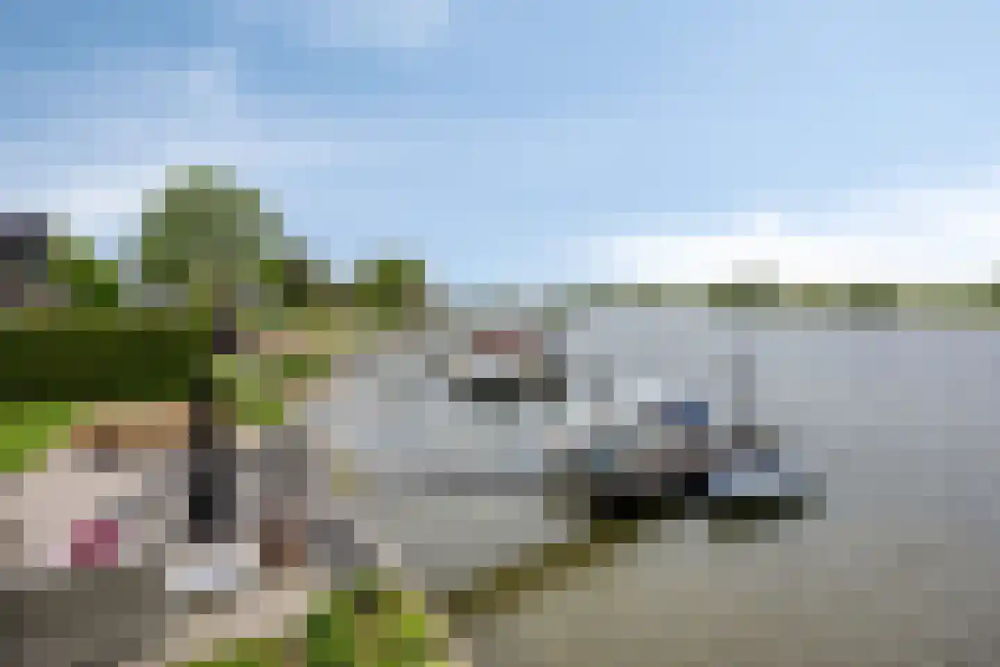 Hoge Maasdijk 45 Andel thumbnail 4