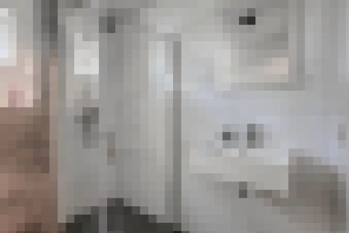 Hoge Maasdijk 45 Andel thumbnail 41