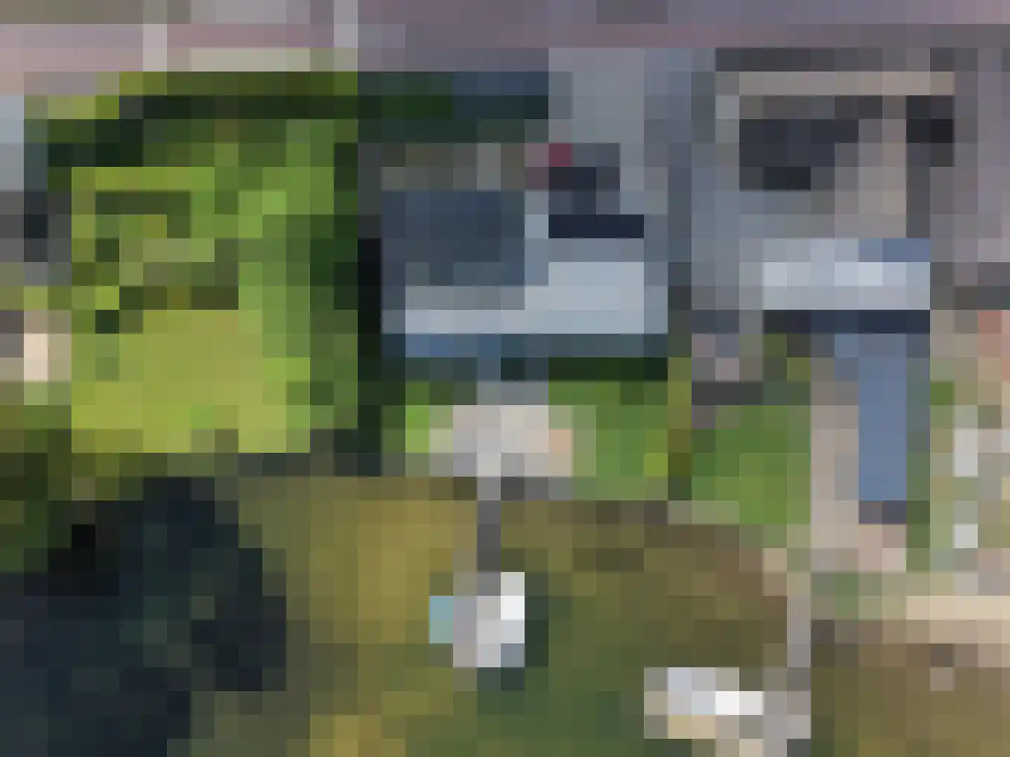 Hoge Maasdijk 45 Andel thumbnail 6