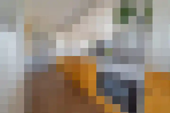 Hoge Maasdijk 61 Andel thumbnail 15