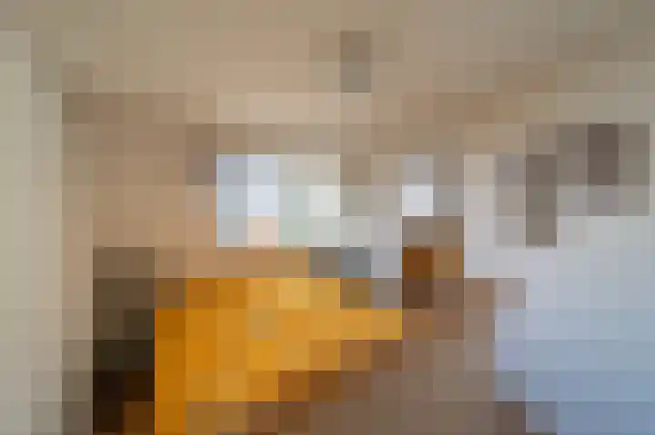 Hoge Maasdijk 61 Andel thumbnail 17