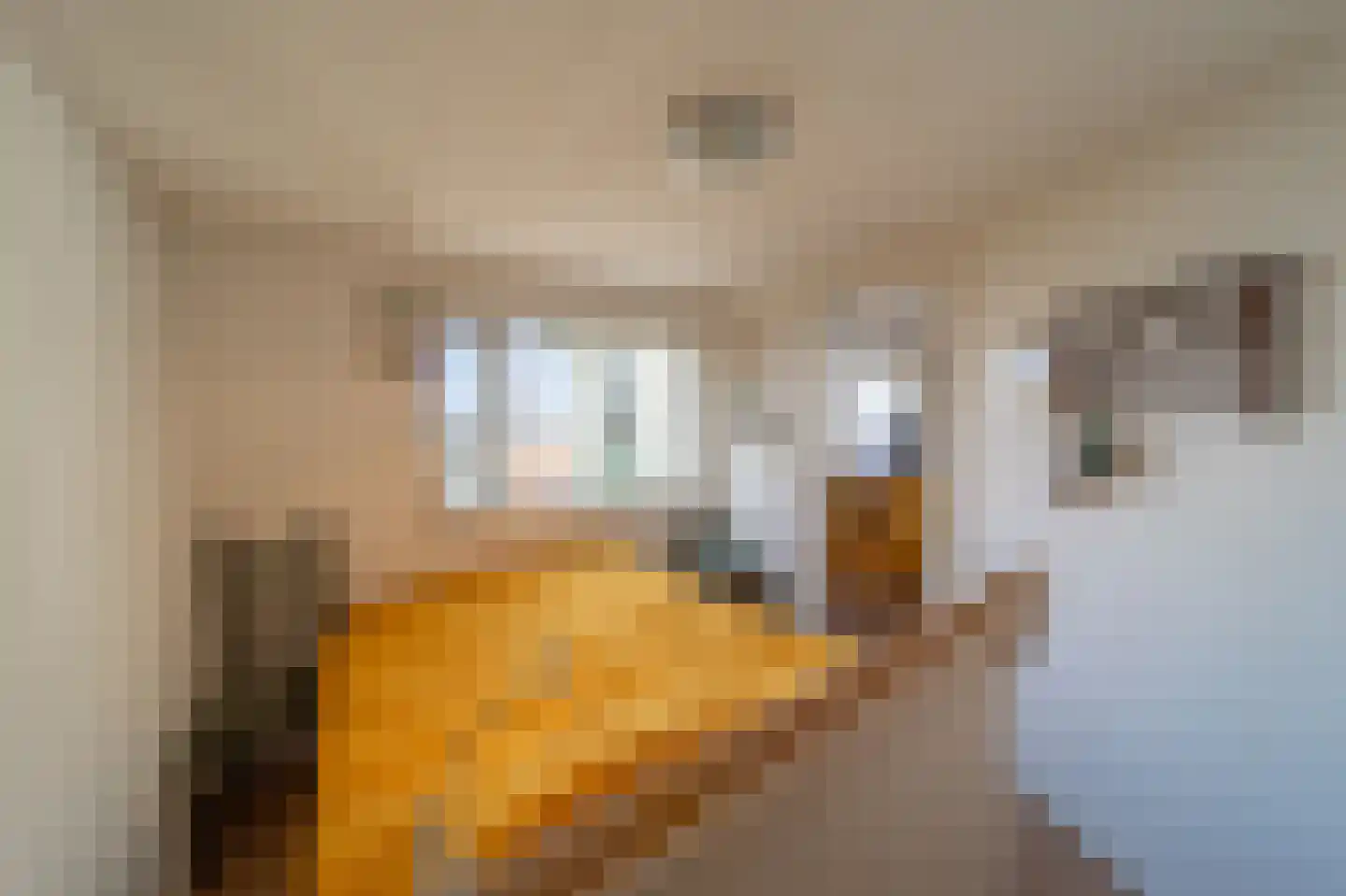 Hoge Maasdijk 61 Andel thumbnail 17