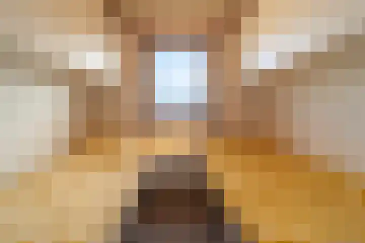 Hoge Maasdijk 61 Andel thumbnail 18