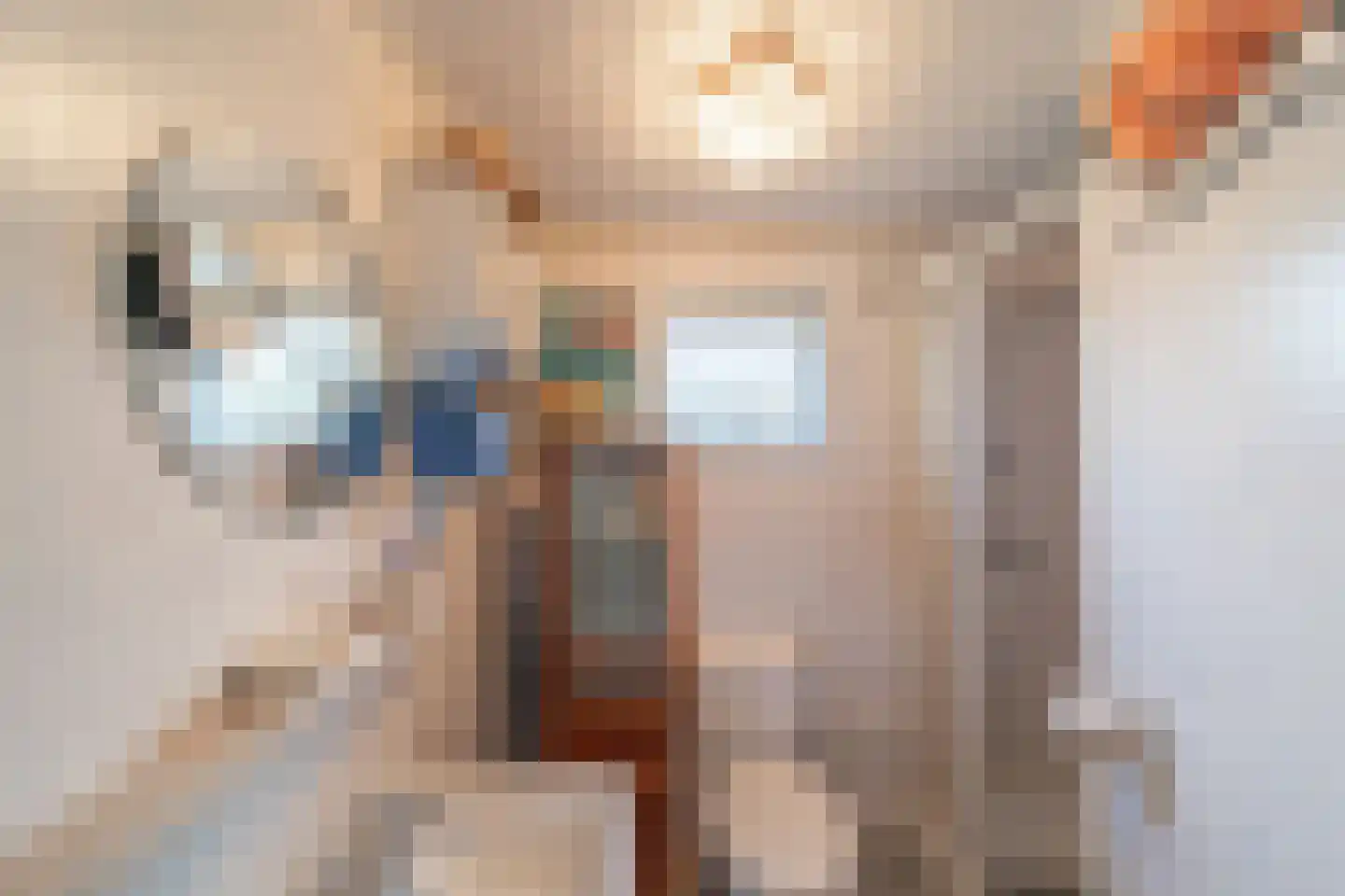 Hoge Maasdijk 61 Andel thumbnail 20