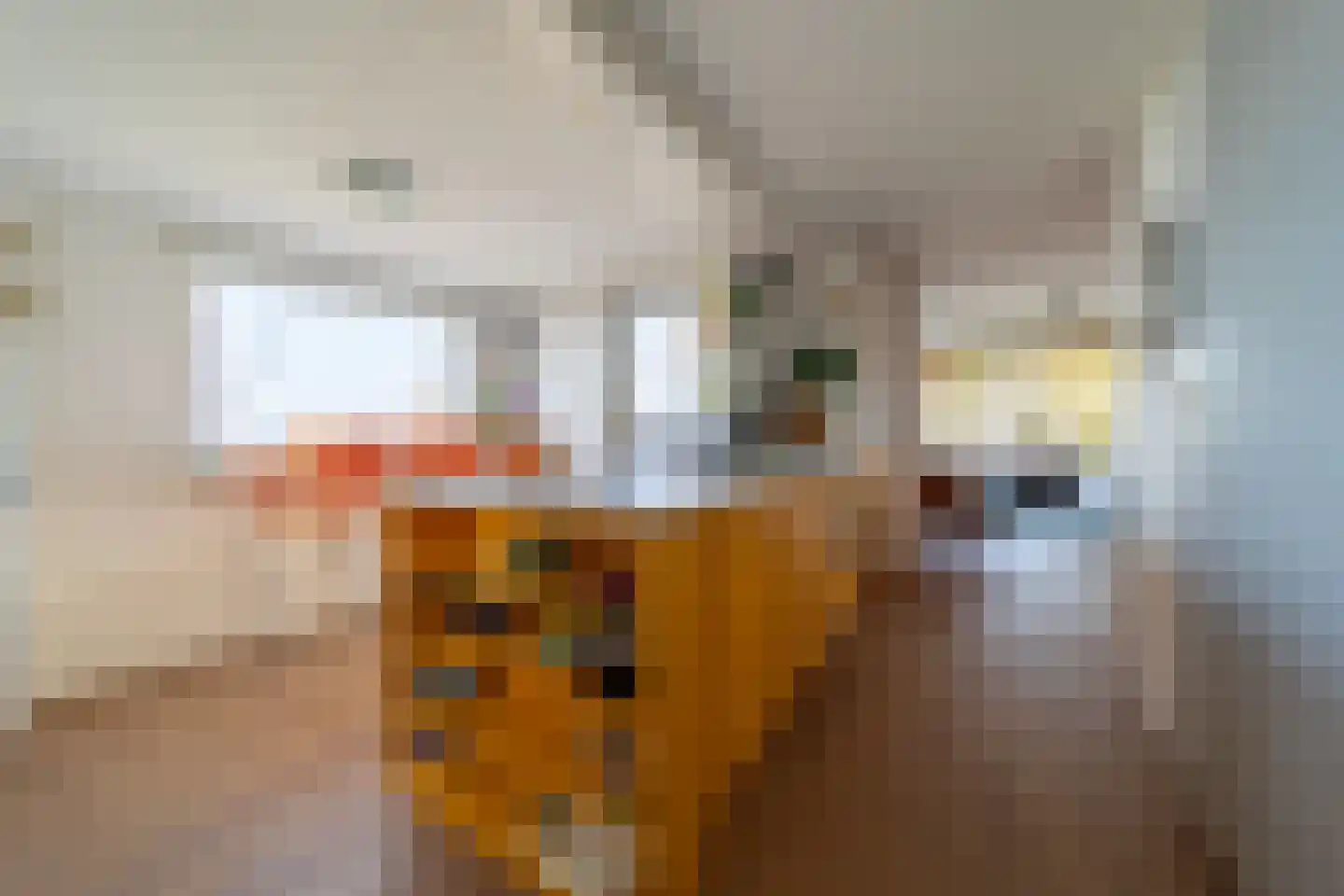 Hoge Maasdijk 61 Andel thumbnail 21
