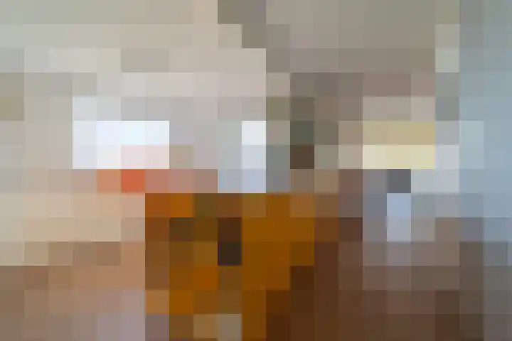 Hoge Maasdijk 61 Andel thumbnail 21