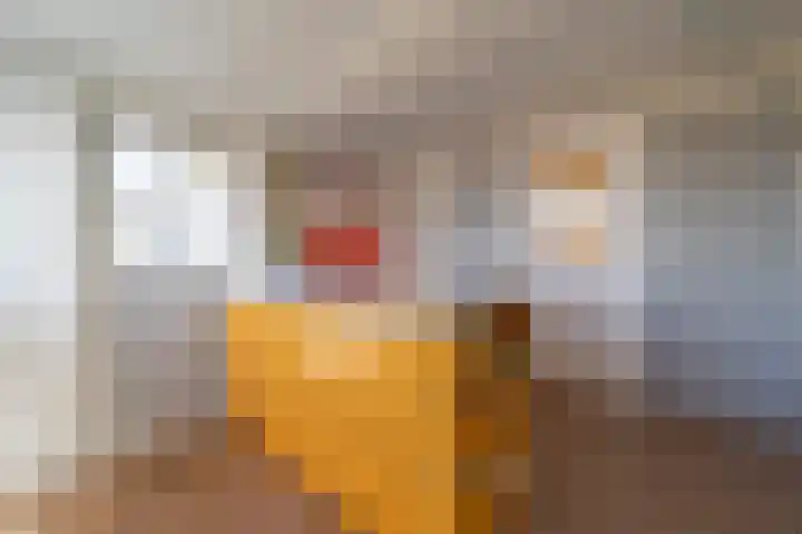 Hoge Maasdijk 61 Andel thumbnail 22