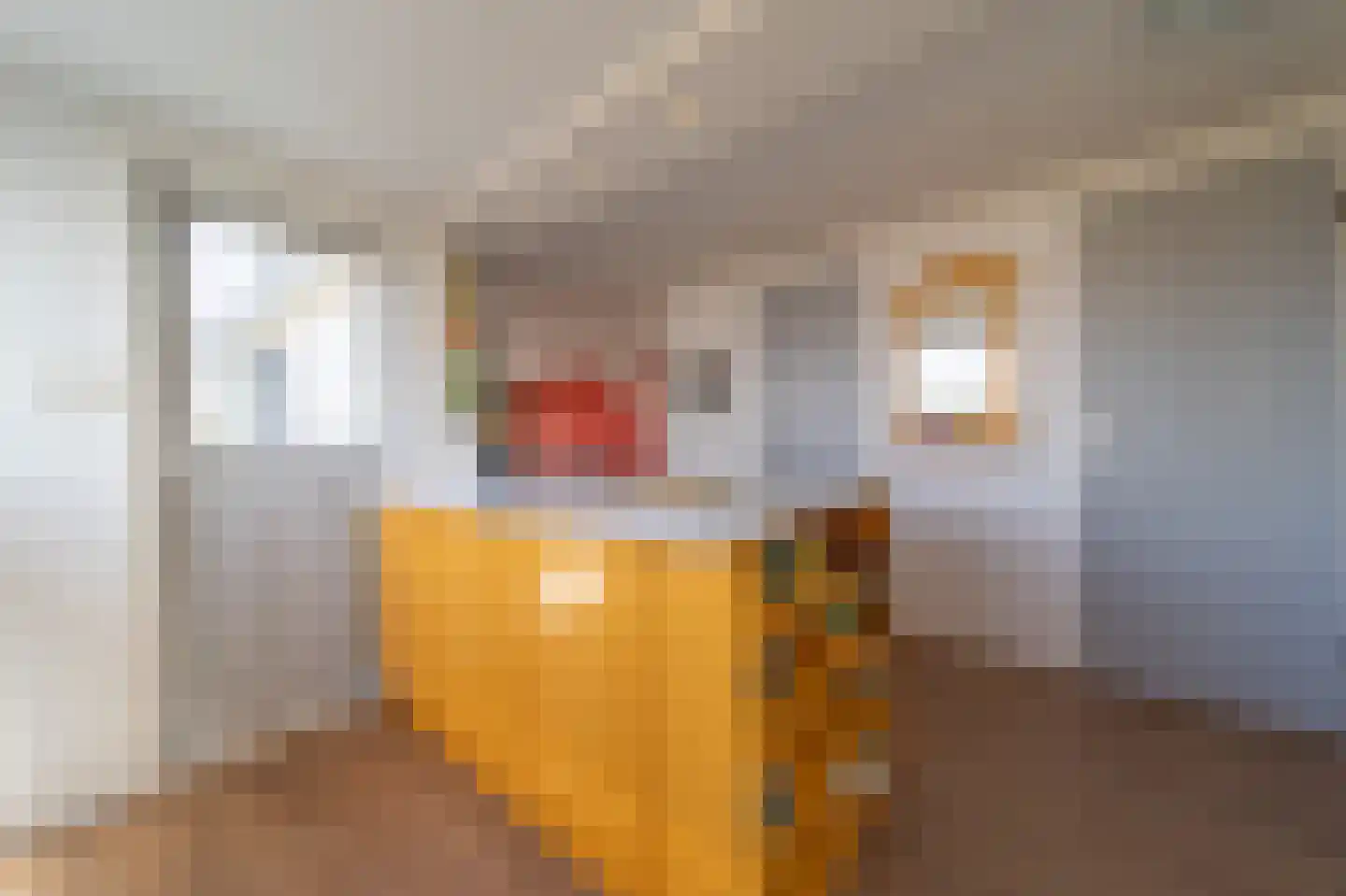 Hoge Maasdijk 61 Andel thumbnail 22