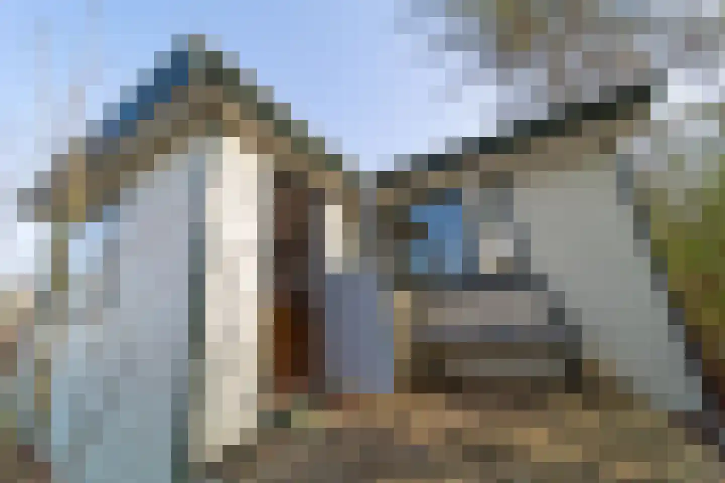 Hoge Maasdijk 61 Andel thumbnail 24