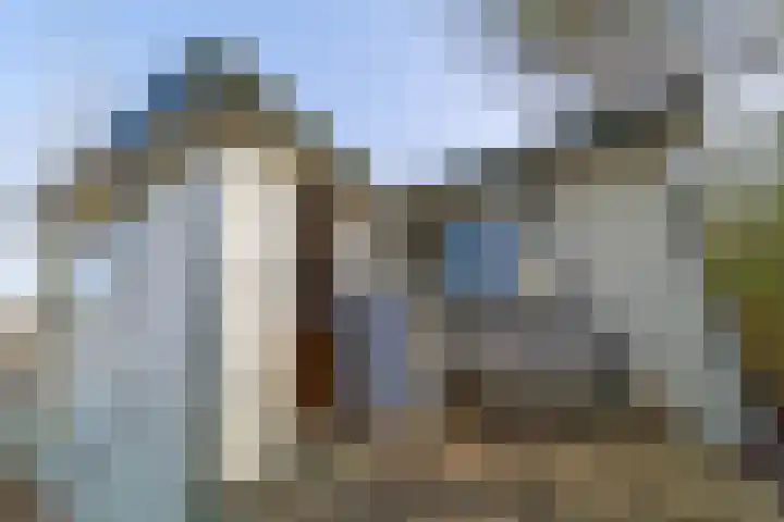 Hoge Maasdijk 61 Andel thumbnail 24