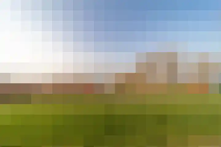 Hoge Maasdijk 61 Andel thumbnail 26