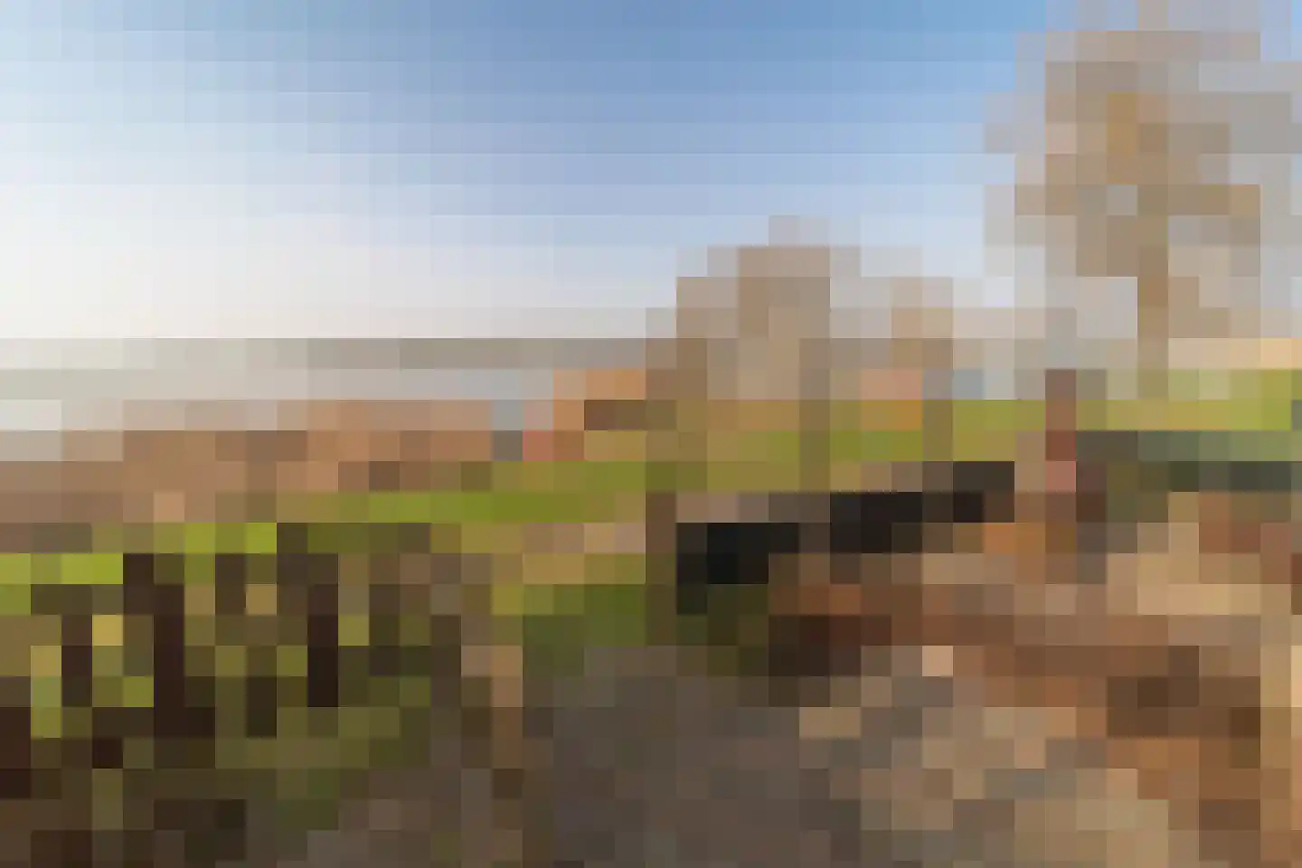 Hoge Maasdijk 61 Andel thumbnail 27